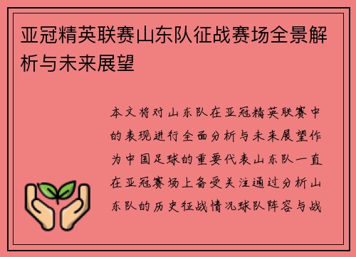 亚冠精英联赛山东队征战赛场全景解析与未来展望